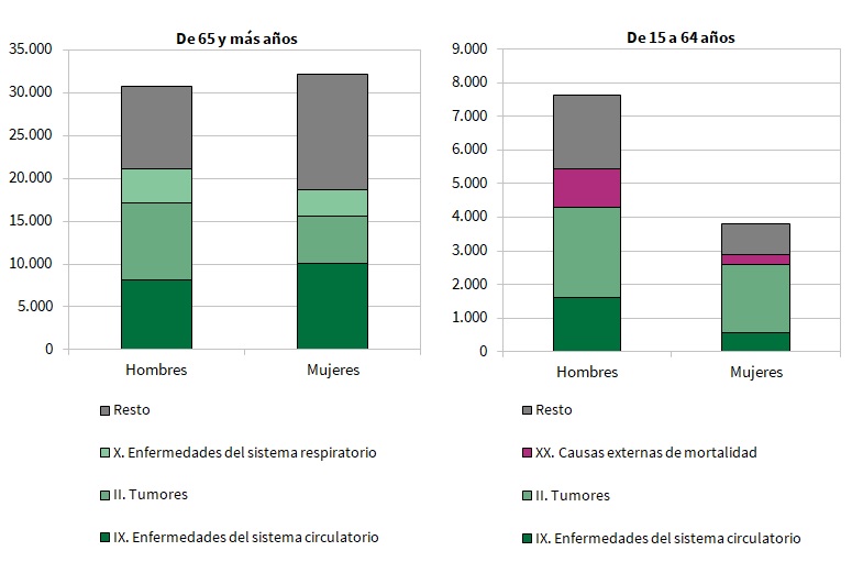 Principales causas de defunción según sexo y grupo de edad. Año 2023