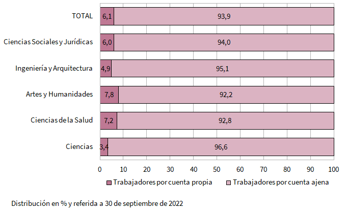 Distribución de los egresados universitarios del curso 2020-2021 que residían en Andalucía y trabajan al año del egreso en Andalucía por rama de enseñanza según situación profesional