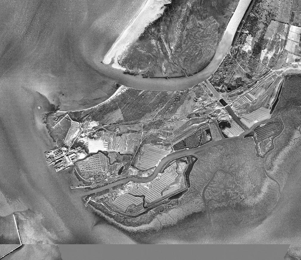 Ortofotografia del Vuelo Americano, serie B. 1956-57 Junta de Andaluca-CECAF