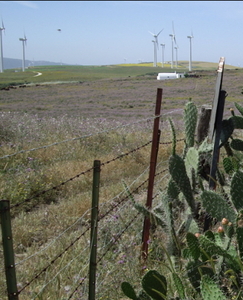 Molinos de Viento