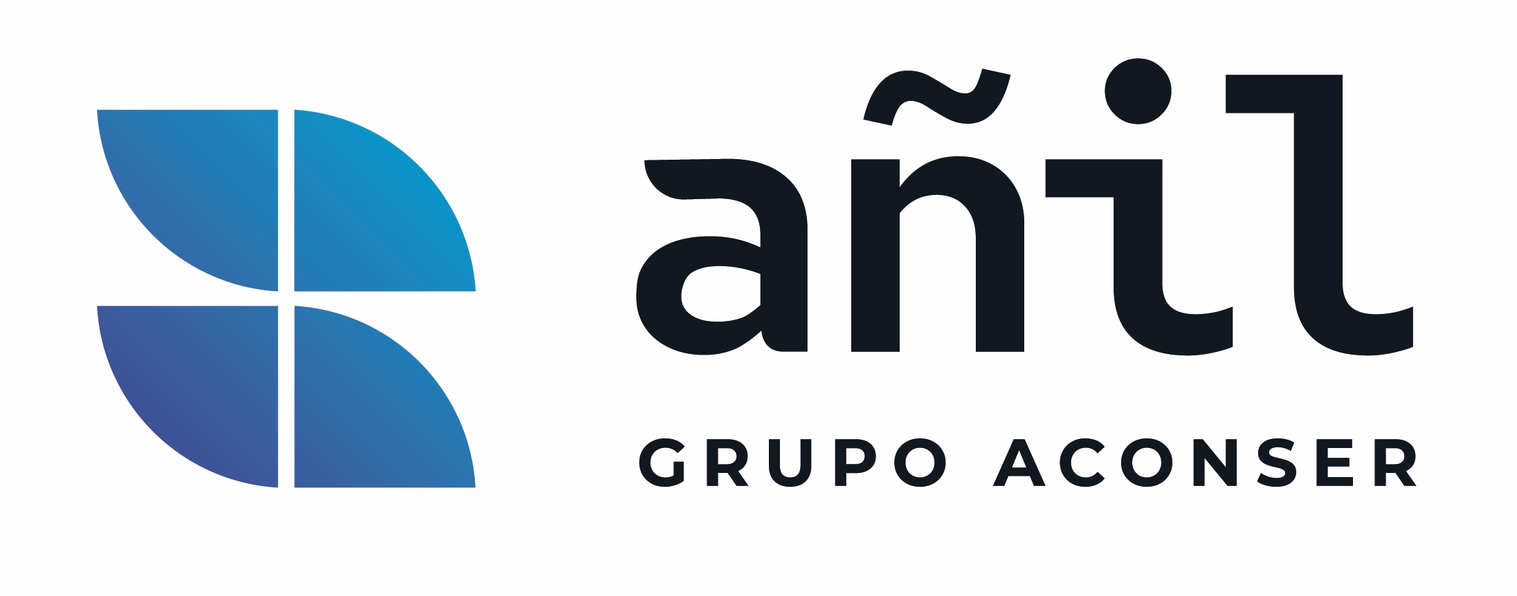 AÑIL SERVICIOS DE INGENIERÍA Y OBRAS S.A