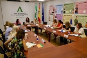 Las ocho comisiones provinciales contra la violencia de género se vuelven a reunir este mes y analizarán las actuaciones impulsadas en 2024