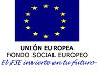 Logo C Europea
