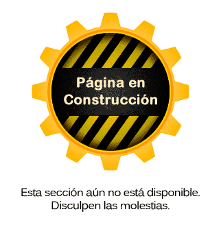 Pagina-en-construccion