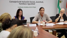 Las comisiones contra la violencia de género se vuelven a reunir para hacer frente a esta lacra