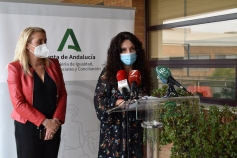 La Consejería de Igualdad organiza una treintena de actos en el marco del 25N para la sensibilización contra la violencia machista
