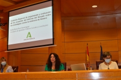 Rocío Ruiz lanza en el Senado un llamamiento a la unidad de instituciones y partidos para la erradicación de la violencia de género