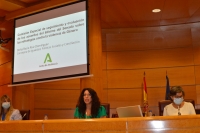 Rocío Ruiz lanza en el Senado un llamamiento a la unidad de instituciones y partidos para la erradicación de la violencia de género