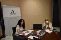El Pleno del Consejo Andaluz de Participación de las Mujeres elige a su vicepresidenta segunda y a las cinco integrantes de la Comisión Permanente