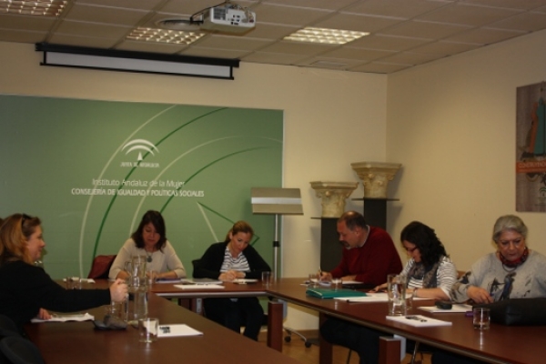 El tejido asociativo de mujeres de toda Andalucía presenta más de 500 aportaciones al Pacto de Estado contra la violencia de género
