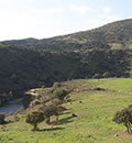 Parque Natural Sierra de Andújar.