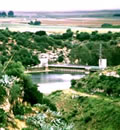 Parque Natural Sierra de Hornachuelos.