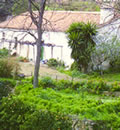 Antiguo lagar.