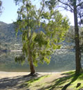 Parque Natural Sierra de Andújar.