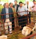 A la izquierda, Gaspar Zarrías, consejero de Presidencia, durante la inauguración de la feria. 
