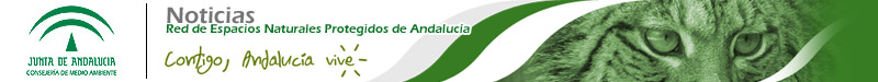 Boletín RENPA