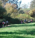 Sendero Río del Bosque.
