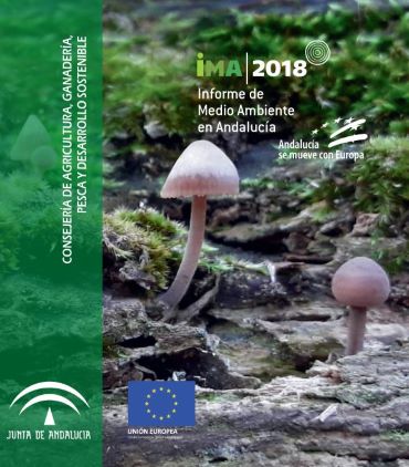 Portada del Informe de Medio Ambiente en Andalucía 2018
