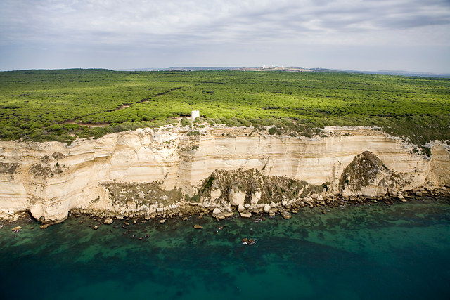 Vista aérea de un acantilado vertical, desde el mar. Su zona superior está llena de vegetación