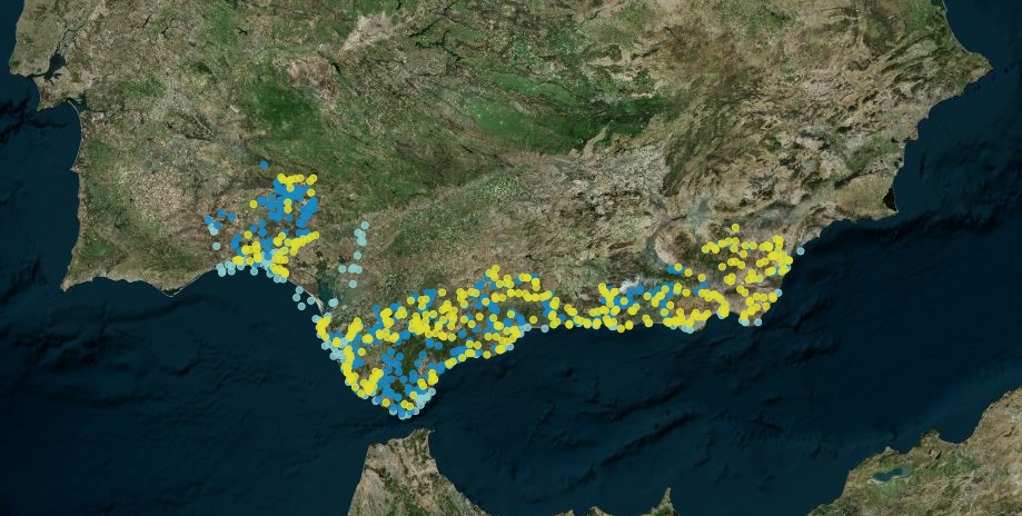 Ampliar imagen: Mapa geográfico del sur peninsular en el que se marcan los puntos de Andalucía donde hay presencia de aguas superficiales