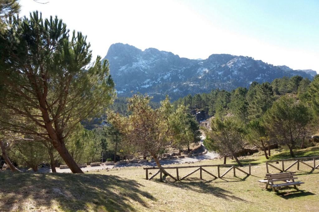 Ampliar imagen: área recreativa en el Parque Natural Sierra de Grazalema, con una hermosa vista de la sierra