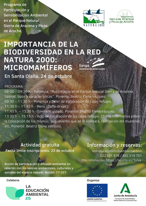 Cartel de la actividad