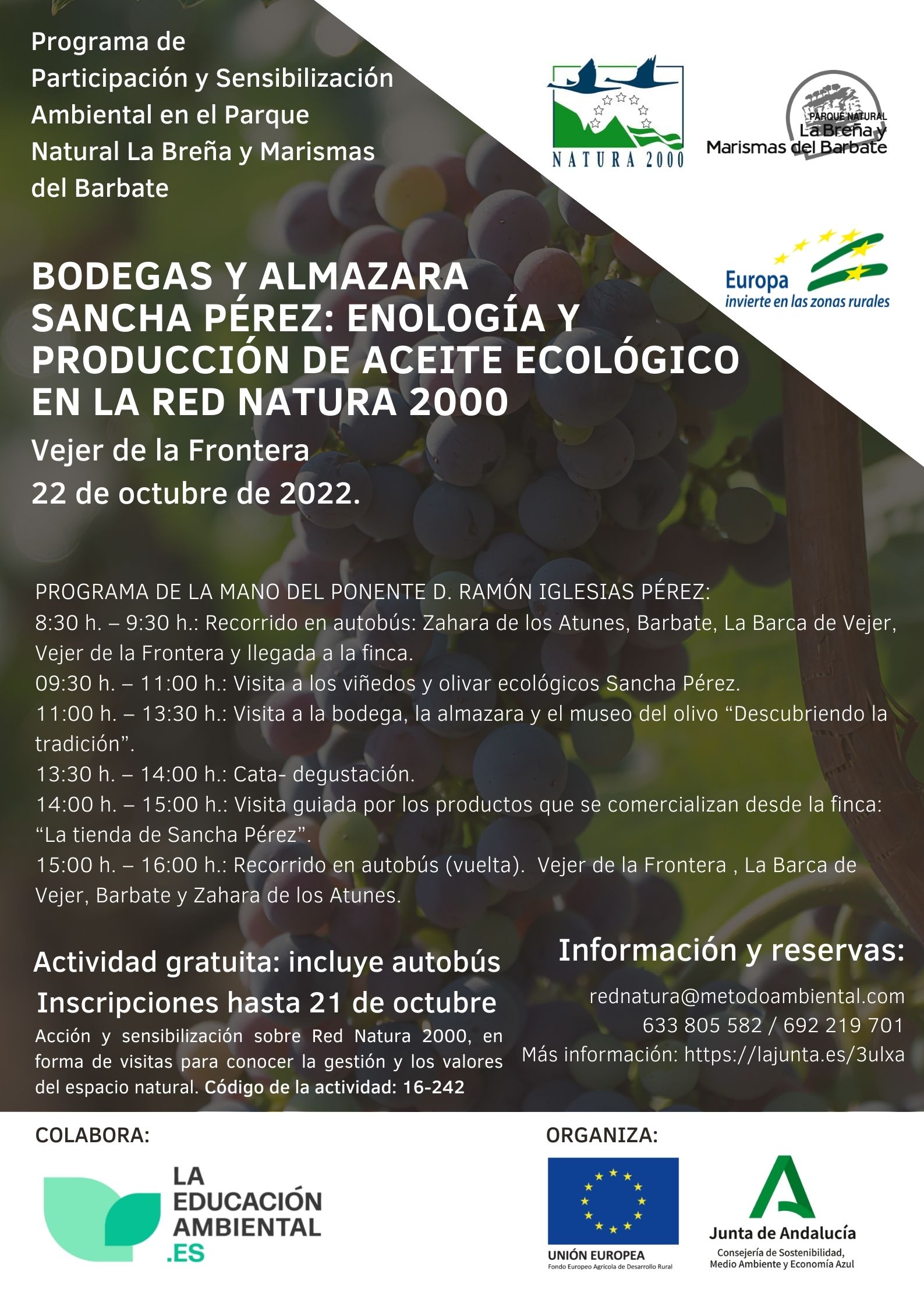 Cartel de la actividad