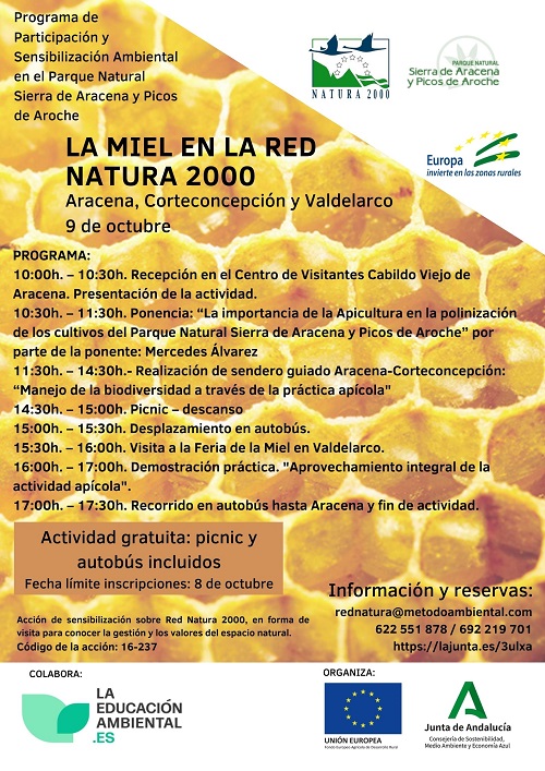 Cartel de la actividad