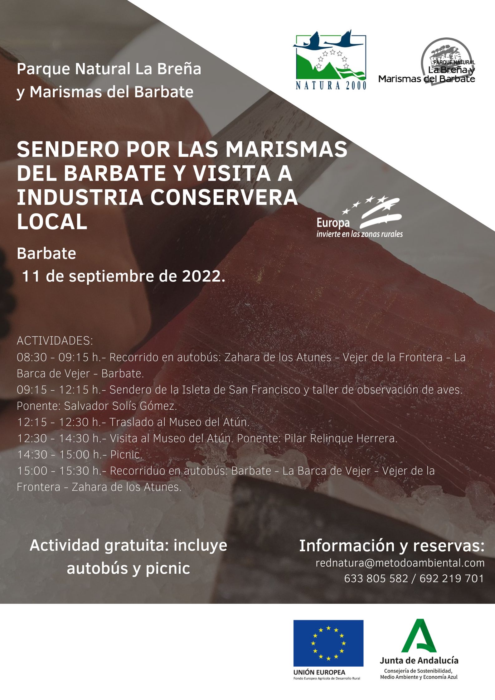 Cartel de la actividad