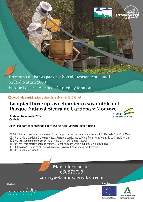 Cartel de la actividad