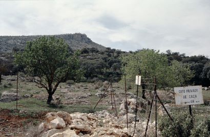 Coto privado de caza Andalucía