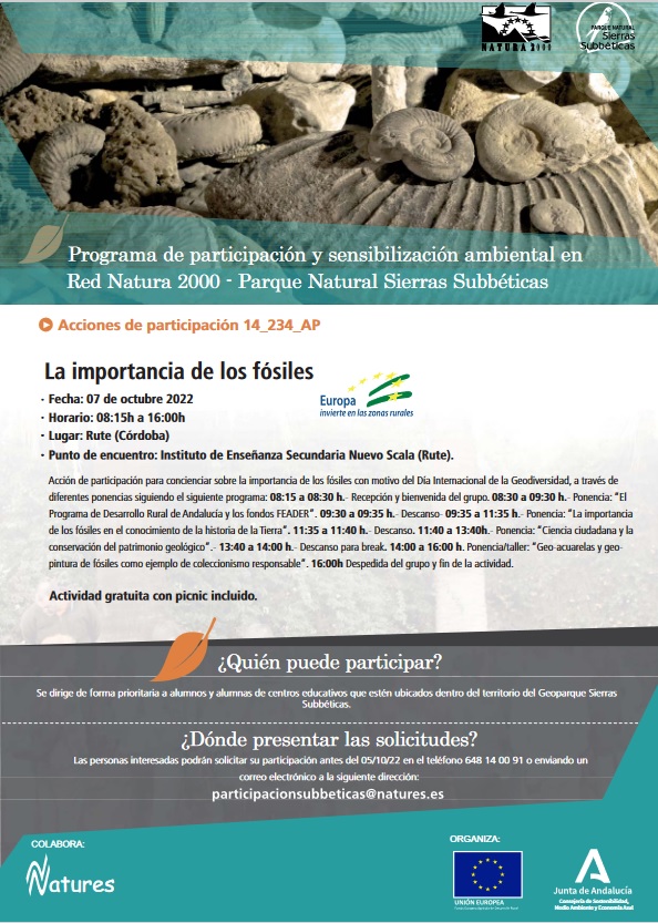 Imagen ilustrativa del cartel publicitario de la actividad