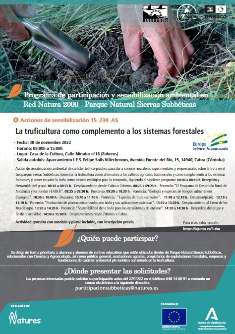 Cartel de la actividad