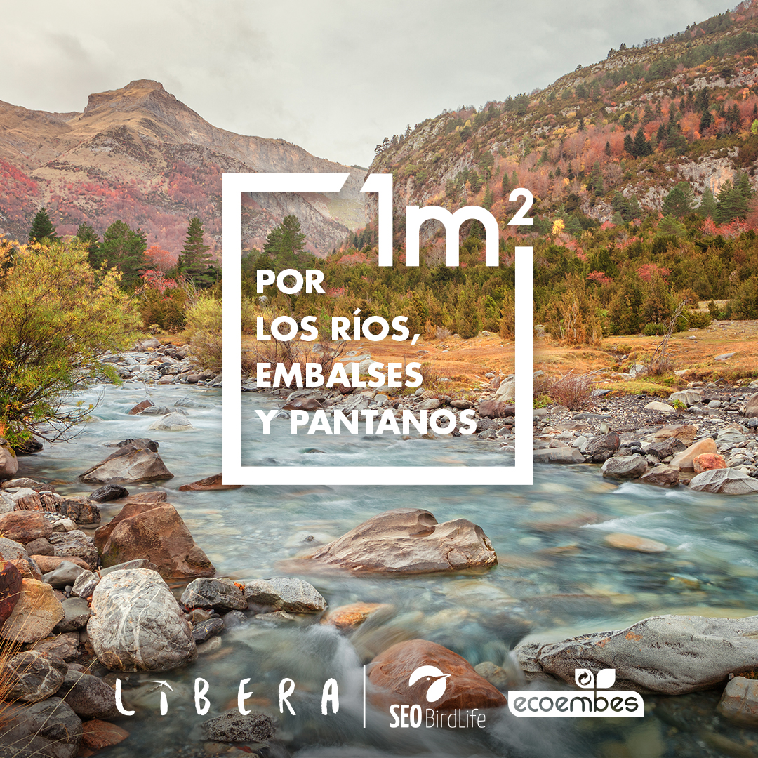 Ampliar imagen: cartel del Proyecto Libera. 1 metro cuadrado, por los ríos, embalses y pantanos