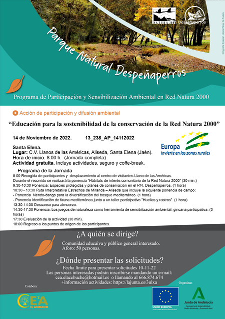 Cartel de la actividad