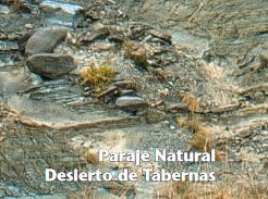 Portada Folleto Geodiversidad en Paraje Natural Desierto de Tabernas