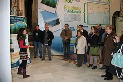Posidonia Oceánica en Vera