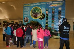 Gira Posidonia 100% Mediterránea en Estepona