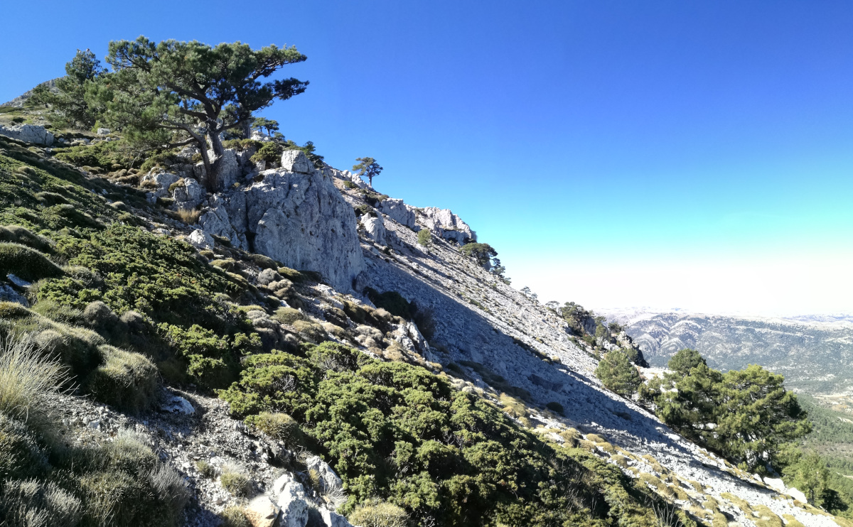 Montaña escarpada y rocosa, con vegetación baja