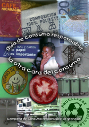 Portada de la publicación
