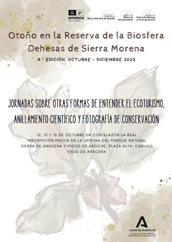 Cartel de la actividad