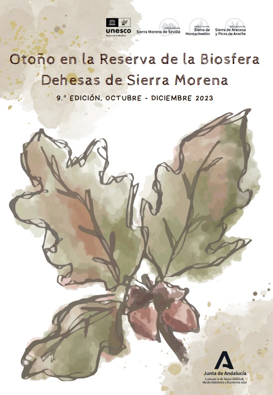 Cartel de la actividad