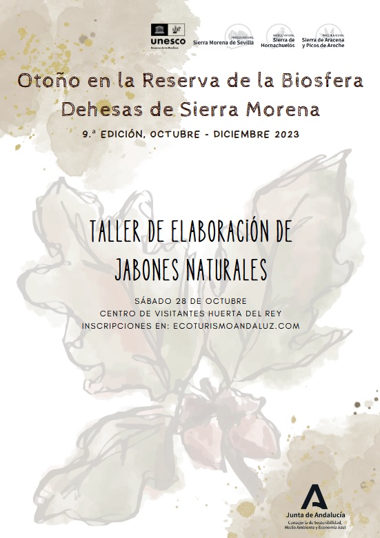 Cartel de la actividad