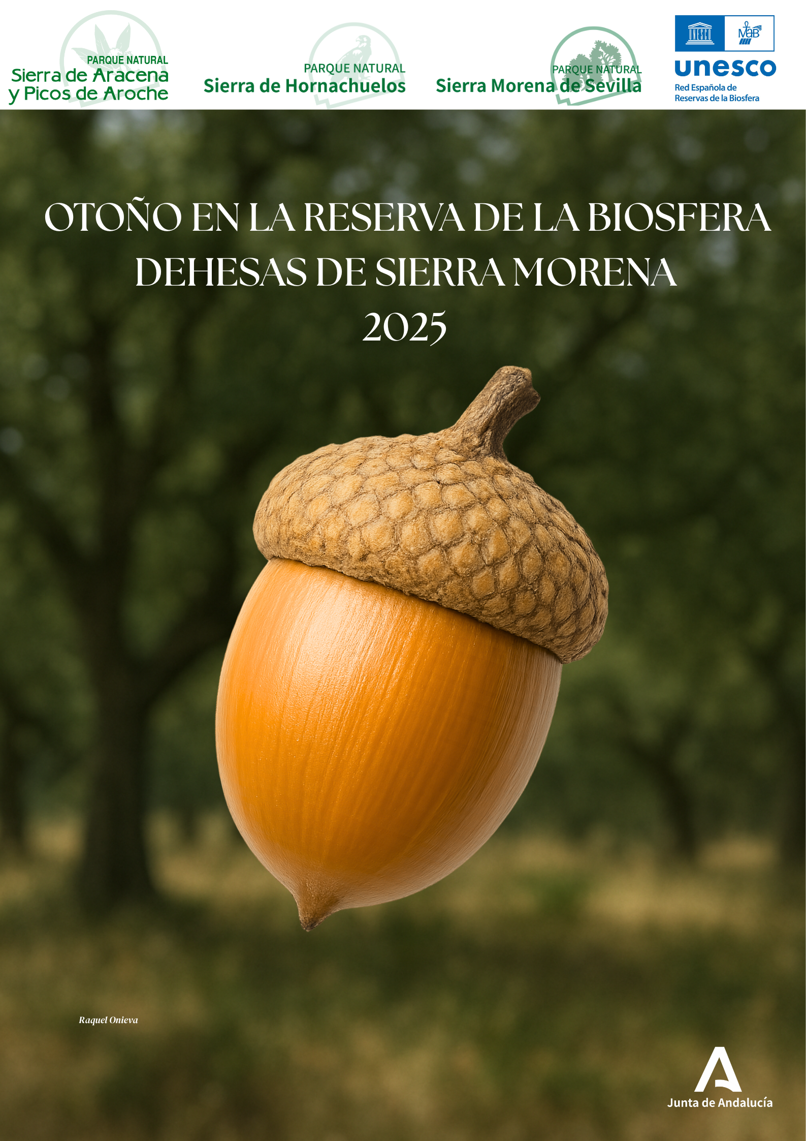 Cartel del programa de actividades