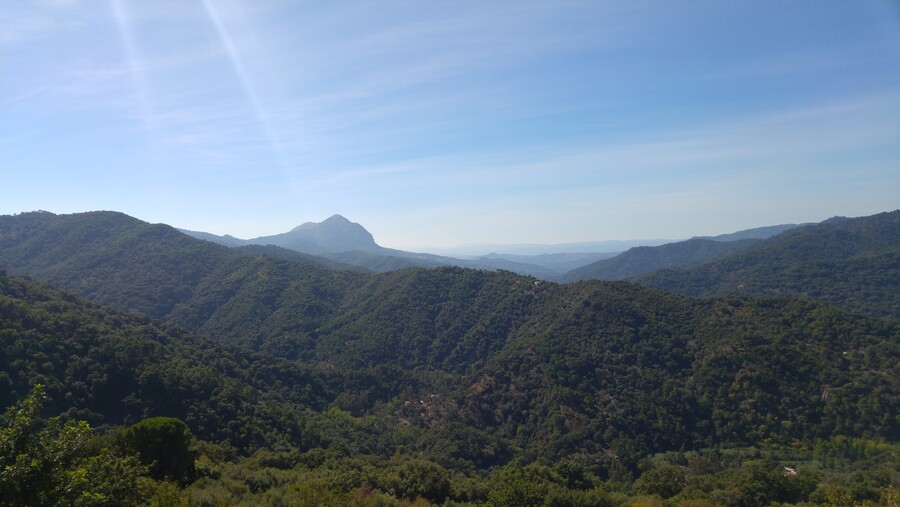 El Consejo de Gobierno aprueba la adecuación del Plan Forestal de Andalucía Horizonte 2030