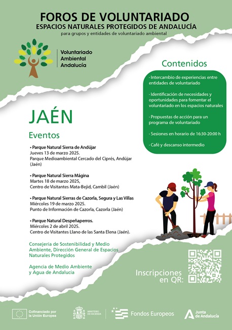 Cartel de la actividad