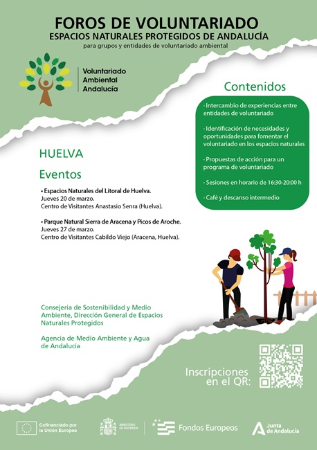 Cartel de la actividad