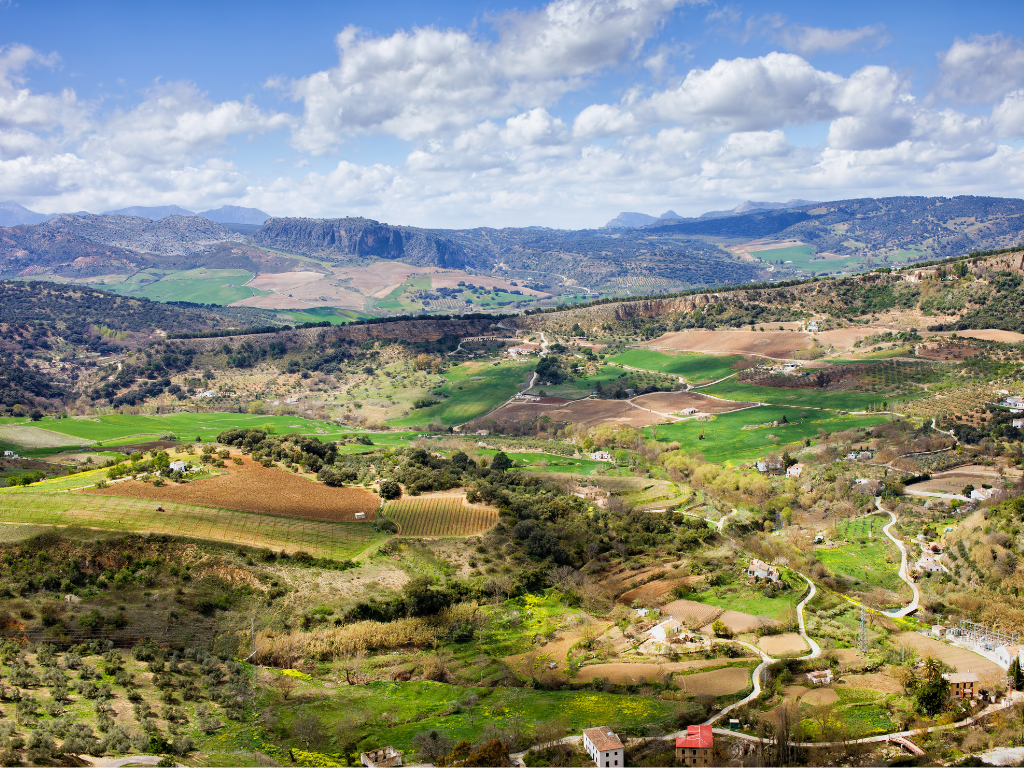 Paisaje de Andalucía. Monte con cultivos y casas dispersas, con elevaciones al fondo