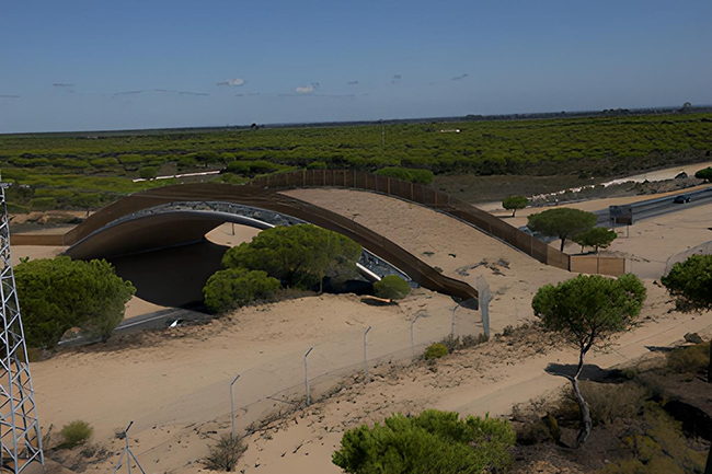 Ecoducto o paso de fauna cubierto de tierra sobre una carretera, diseñado para que la fauna cruce la carretera con seguridad
