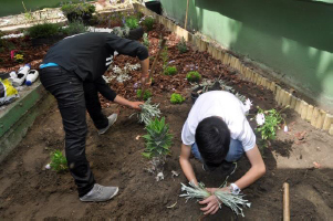 Crece con tu árbol
